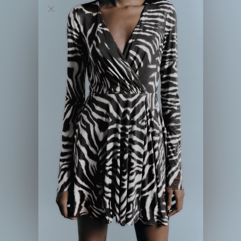 Zara - Zebra Printed Dress - Picture 2 of 8